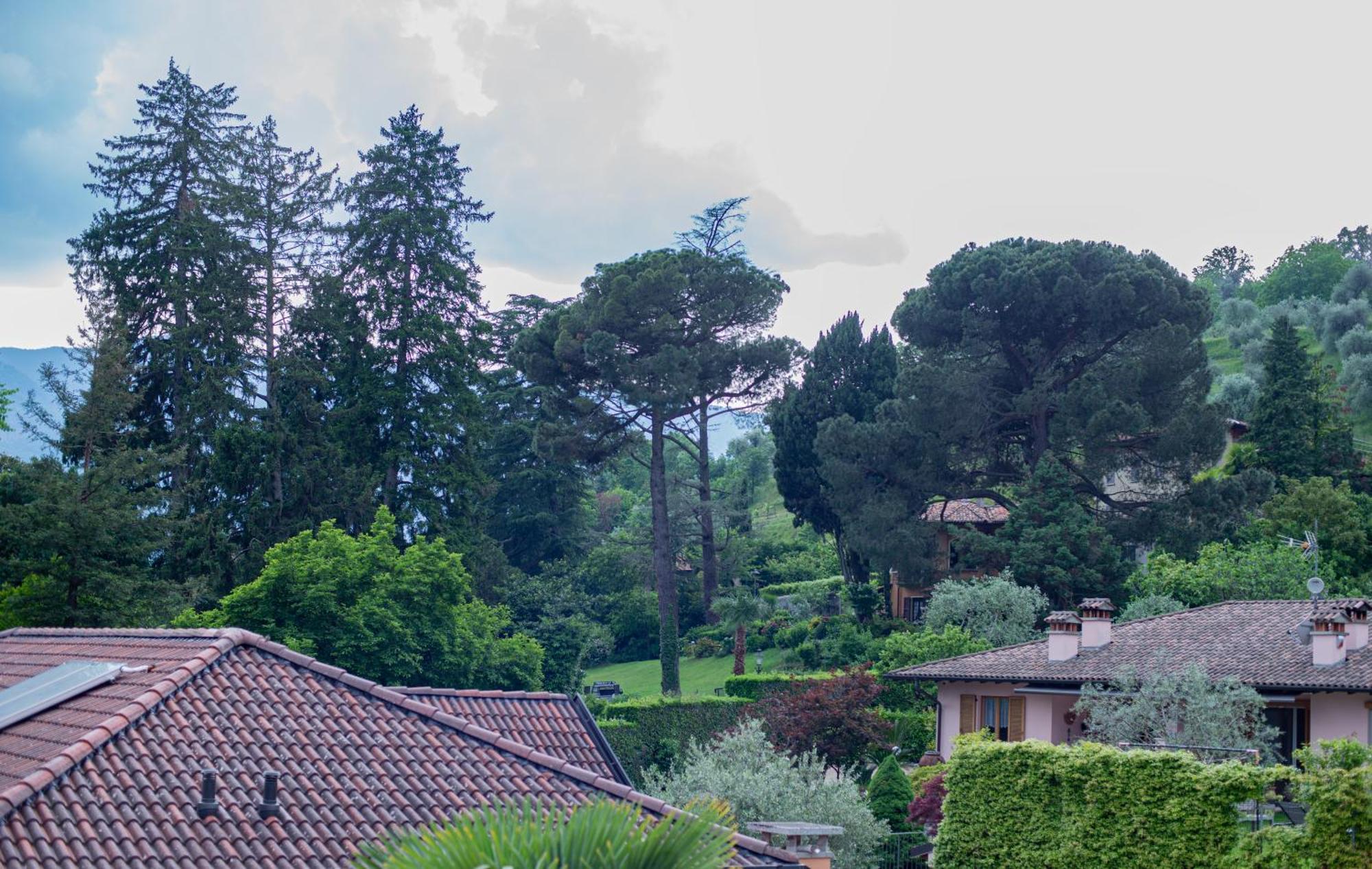 Serene Garden Getaway Cadenabbia Exteriér fotografie